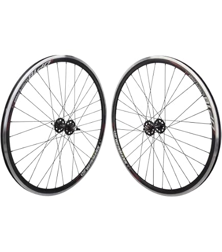 Amazon.com : WheelMaster Weinmann DP18 Rear Wheel - 700c, 36H